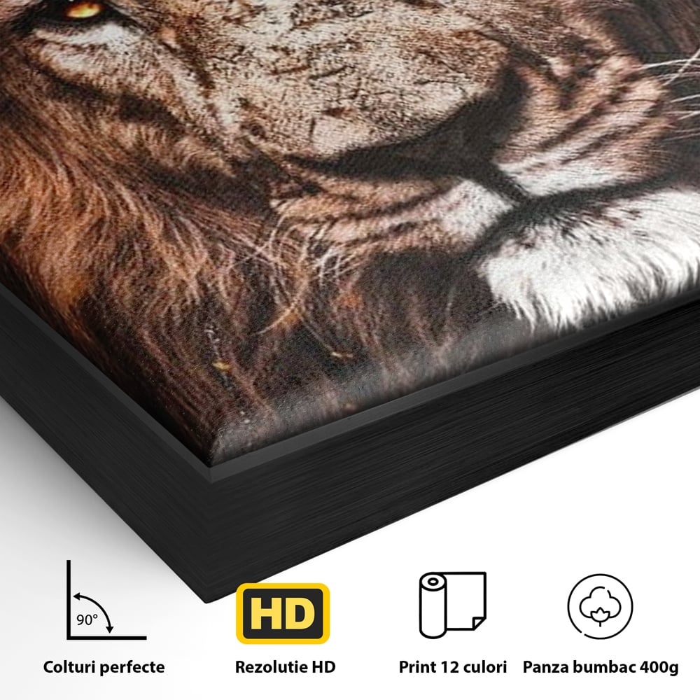 Detaliu al suprafetei: tablou canvas cu leu, in rama de aluminiu negru